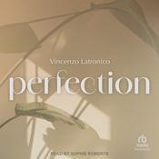 Perfection by  Vincenzo Latronico audiobook
