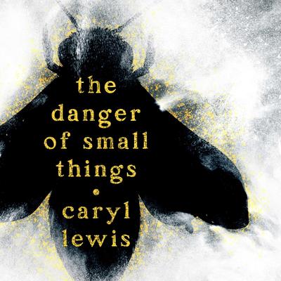 The Danger of Small Things by Caryl Lewis audiobook