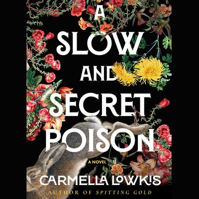 Slow and Secret Poison by Carmella Lowkis audiobook