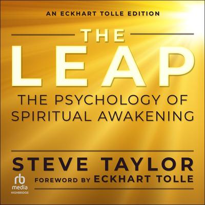 The Leap by Steve Taylor audiobook