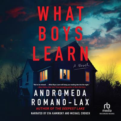 What Boys Learn by Andromeda Romano-Lax audiobook