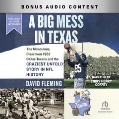 A Big Mess in Texas by David Fleming audiobook