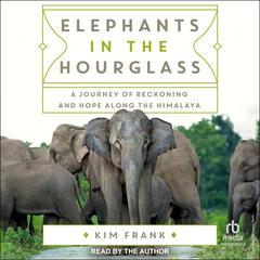 Elephants in the Hourglass by Kim Frank audiobook
