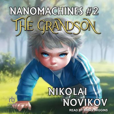 The Grandson by Nikolai Novikov audiobook