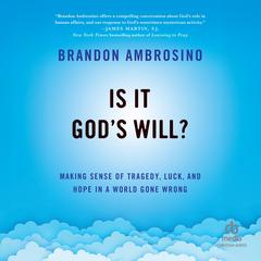 Is It God's Will? by Brandon Ambrosino audiobook