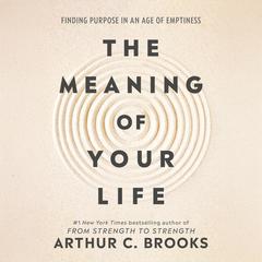 The Meaning of Your Life by Arthur C. Brooks audiobook