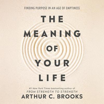The Meaning of Your Life by Arthur C. Brooks audiobook