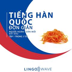 Tiếng Hàn Quốc đơn giản - Người hoàn toàn mới bắt đầu  - Tập 1 trong 3 tập by Lingo Wave audiobook