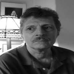 Author Bio: Noel Monk