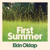 First Summer by  Ekin Oklap audiobook