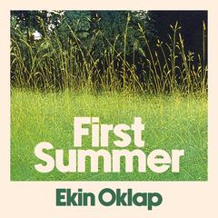 First Summer by Ekin Oklap audiobook