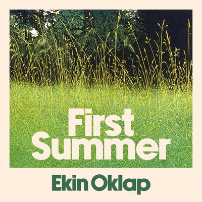 First Summer by Ekin Oklap audiobook
