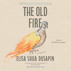 The Old Fire by Elisa Shua Dusapin audiobook