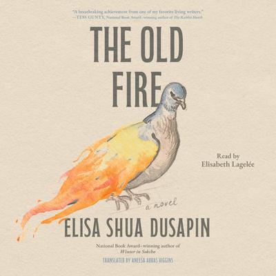 The Old Fire by Elisa Shua Dusapin audiobook