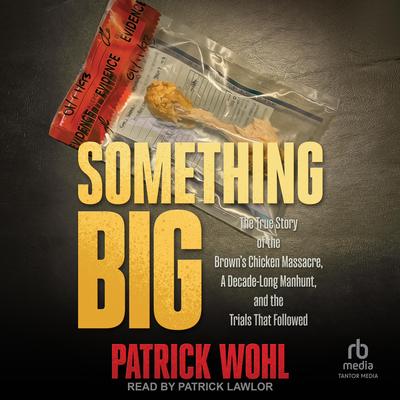 Something Big by Patrick Wohl audiobook
