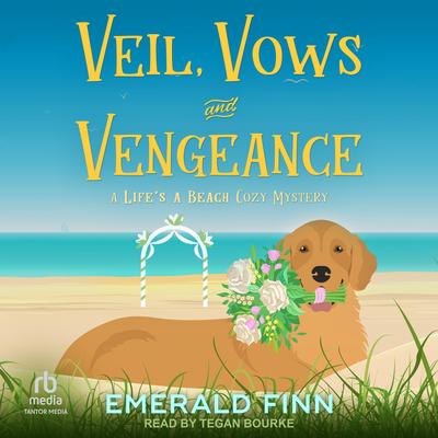 Veil, Vows and Vengeance by Emerald Finn audiobook