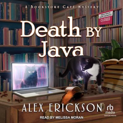 Death by Java by Alex Erickson audiobook