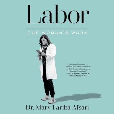 Labor by Mary Fariba Afsari audiobook