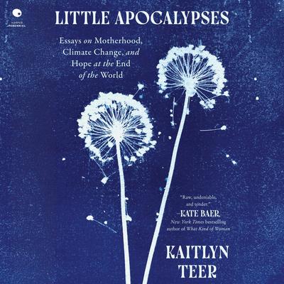 Little Apocalypses by Kaitlyn Teer audiobook