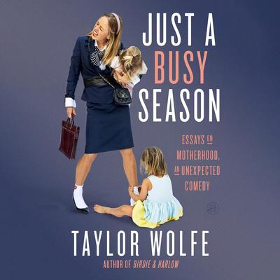 Just a Busy Season by Taylor Wolfe audiobook