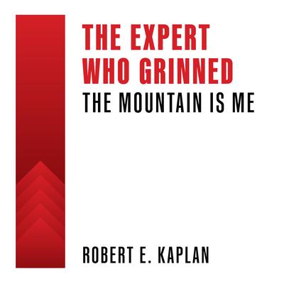 The Expert Who Grinned by Robert E. Kaplan audiobook