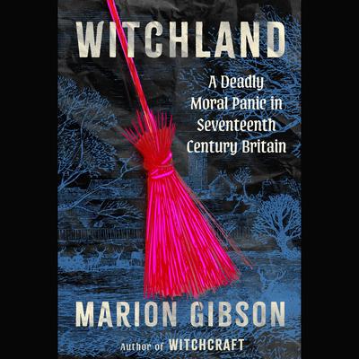 Witchland by Marion Gibson audiobook