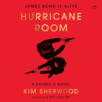 Hurricane Room by Kim Sherwood audiobook