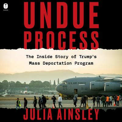 Undue Process by Julia Ainsley audiobook