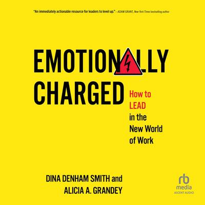 Emotionally Charged by Dina Denham Smith audiobook