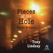 Pieces of the Hole by  Tony Lindsay audiobook