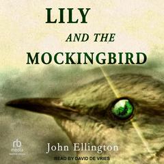 Lily and the Mockingbird by John Ellington audiobook