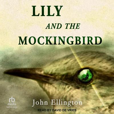 Lily and the Mockingbird by John Ellington audiobook