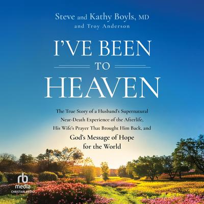 I've Been to Heaven by Steve Boyls audiobook