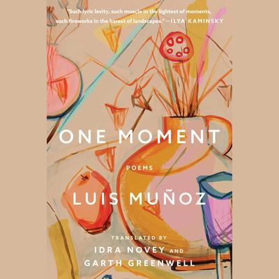One Moment by Luis Muñoz audiobook