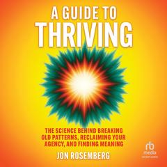 A Guide to Thriving by Jon Rosemberg audiobook
