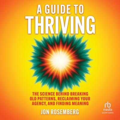 A Guide to Thriving by Jon Rosemberg audiobook