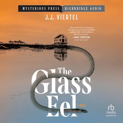 The Glass Eel by J.J. Viertel audiobook