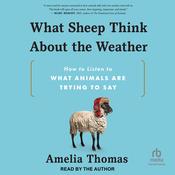 What Sheep Think About the Weather by  Amelia Thomas audiobook