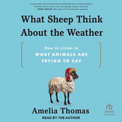 What Sheep Think About the Weather by Amelia Thomas audiobook