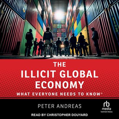 The Illicit Global Economy by Peter Andreas audiobook