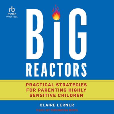 Big Reactors by Claire Lerner audiobook