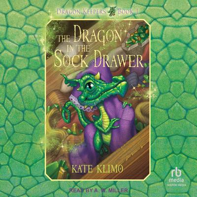 The Dragon in the Sock Drawer by Kate Klimo audiobook
