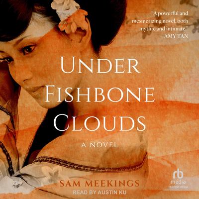 Under Fishbone Clouds by Sam Meekings audiobook