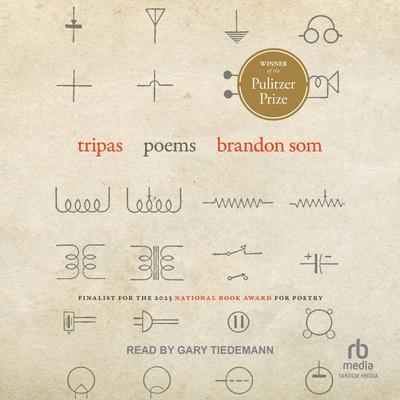 Tripas by Brandon Som audiobook
