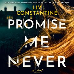 Promise Me Never by Liv Constantine audiobook