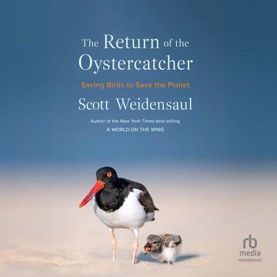 The Return of the Oystercatcher by Scott Weidensaul audiobook