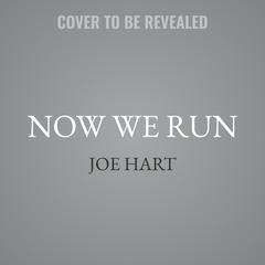 Now We Run by Joe Hart audiobook