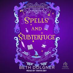 Spells and Subterfuge by Beth Dolgner audiobook