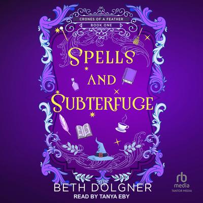 Spells and Subterfuge by Beth Dolgner audiobook