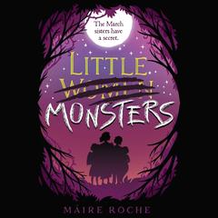 Little Monsters by Máire Roche audiobook